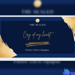 Rev Chris Ogugua - Next Level featured image Rev Chris Ogugua - Next Level – cry of my heart by Chris Ogugua