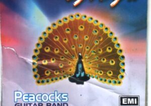 Peacock Band - Jesus Christ (Chukwu Emela Awawe) – Dan Orji Songs Soundwela