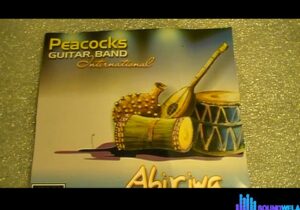 Peacock - This Girl Oshuku Onye Arinma featured image Peacock - This Girl Oshuku Onye Arinma – Peacock International Band songs