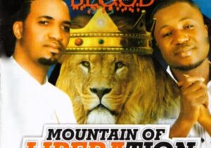 Gozie Okeke - Mountain Of Liberation featured image Gozie Okeke - Mountain Of Liberation – Gozie Okeke Mountain of Liberation