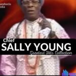 Chief Sally Young - Vwe Roro (Austerity Measure) featured image Best Of Chief Sally Young Greatest Hits
