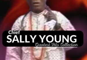 Best Of Chief Sally Young Greatest Hits