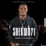 Branky Enebomeh - Shekwoyi featured image Branky Enebomeh Shekwoyi
