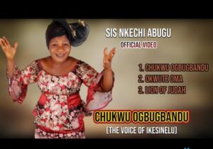 Nkechi Abugu - Lion Of Judah featured image Nkechi Abugu Chukwu Ogbugbandu