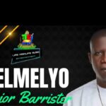 Junior Barrister - Melmelyo featured image Junior Barrister - Melmelyo – Junior Barrister mele mele