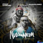 Prof Chikobi - Nwannem (Feat. Ojadiligbo) &ndash; Prof Chikobi Nwannem