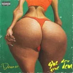Dremo – She Dey Give Dem featured image Dremo – She Dey Give Dem – Dremo She Dey Give Dem