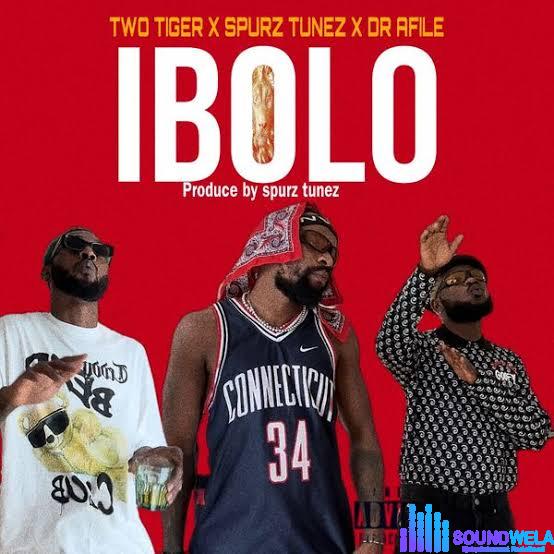 Two Tigers – Ibolo (Feat. Dr Afile) featured image Two Tigers – Ibolo (Feat. Dr Afile) – IMG 2094