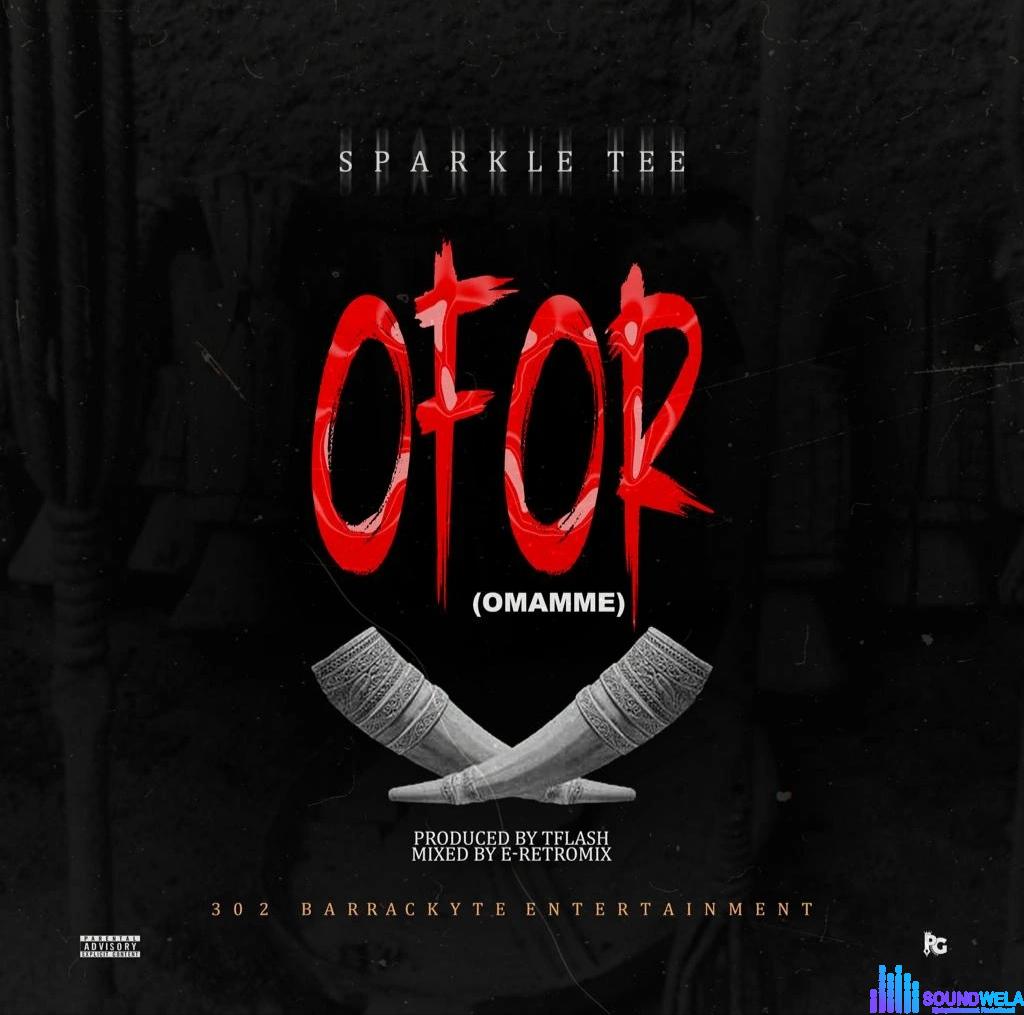 Sparkle Tee – Ofor featured image Sparkle Tee – Ofor – IMG 20231222 165439