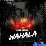 Naira Marley – Wahala featured image Naira Marley – Wahala – IMG 20231229 090905