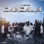 Jay Bahd – Gangalia ft. Shatta Wale featured image Jay Bahd – Gangalia ft. Shatta Wale – Jay Bahd Gangalia ft Shatta Wale