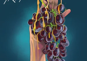 Masterkraft – Fruit ft. Joeboy & Majeeed – Masterkraft Fruit ft Joeboy Majeeed