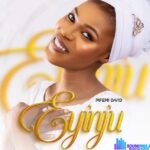Nifemi David – Eyinju featured image Nifemi David – Eyinju – Nifemi David – Eyinju