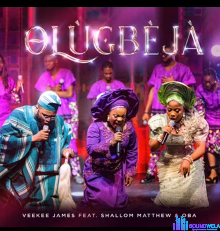 Veekee James - Olugbeja featured image Veekee James - Olugbeja – Olugbeja Veekee James