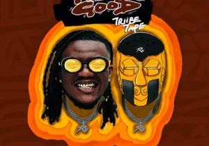 Pheelz – Pheelz Good (Triibe Tape) EP featured image Pheelz – Pheelz Good (Triibe Tape) EP – Pheelz Pheelz Good Triibe Tape EP 1