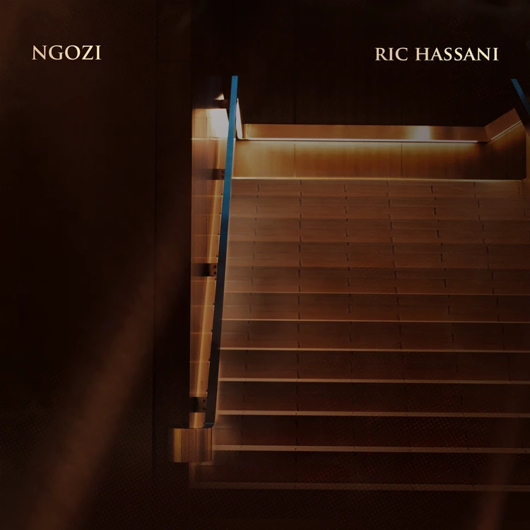 Ric Hassani – Ngozi featured image Ric Hassani – Ngozi – Ric Hassani Ngozi