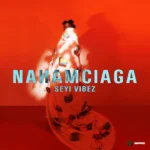 Seyi Vibez – Different Pattern featured image Seyi Vibez – Different Pattern – Seyi Vibez NAHAMciaga EP