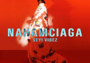 Seyi Vibez – Today – Seyi Vibez NAHAMciaga EP