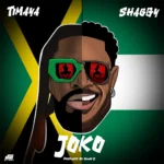 Timaya – Joko ft. Shaggy featured image Timaya – Joko ft. Shaggy – Timaya Joko ft Shaggy