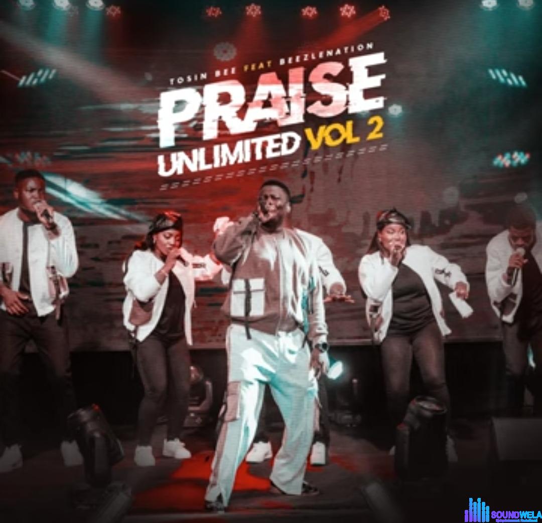 Tosin Bee - High Praise featured image Tosin Bee - High Praise – Tosin Bee songs