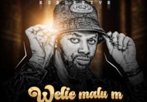 Mc Ezegetive – Welie Malu m – ec252269ec3d4a2b8af9f22649e66cc0 464 464