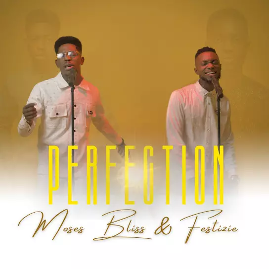 Moses Bliss – Perfection featured image Moses Bliss – Perfection – moses bliss – perfection