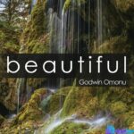 Godwin Omonu – Beautiful featured image Godwin Omonu – Beautiful – Godwin Omonu – Beautiful