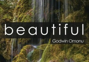 Godwin Omonu – Beautiful – Godwin Omonu – Beautiful