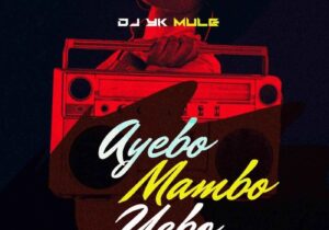 Dj Yk Mule – Ayebo Mambo Yebo – IMG 20240123 123533