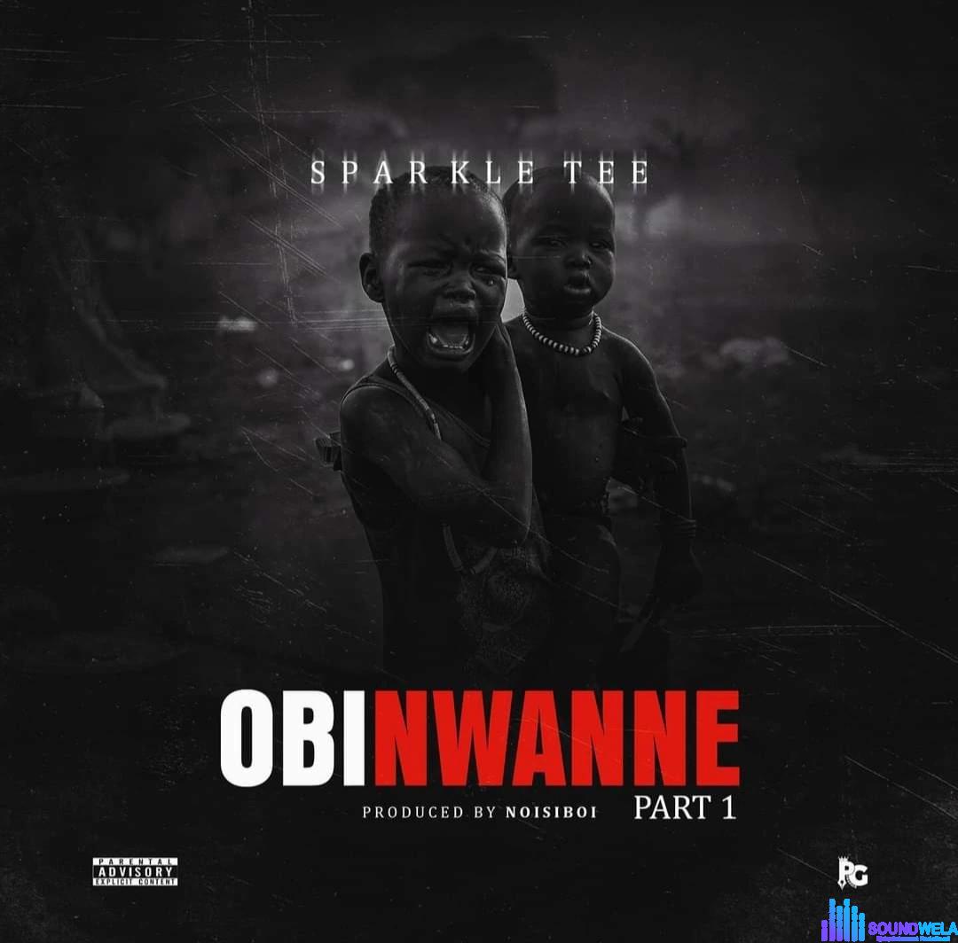 Sparkle Tee – Obi Nwanne featured image Sparkle Tee – Obi Nwanne – IMG 20240125 185330