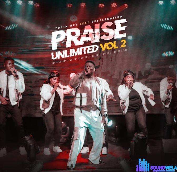 Tosin Bee – Fuji Praise featured image Tosin Bee – Fuji Praise – Tosin Bee – Fuji Praise