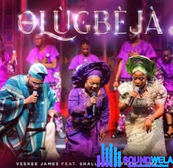 Veekee – Olùgbèjà ft Shallom Mathew & Oba featured image Veekee – Olùgbèjà ft Shallom Mathew & Oba – Veekee – Olugbeja ft Shallom Mathew Oba