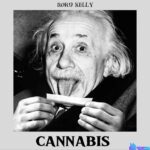 Rord kelly – Cannabis featured image Rord kelly – Cannabis – Rord kelly Cannabis