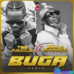 TeeFamous – Buga (Remix) ft. Bella Shmurda featured image TeeFamous – Buga (Remix) ft. Bella Shmurda – TeeFamous Buga Remix ft Bella Shmurda Soundwela
