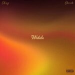 CKay – Wahala ft. Olamide featured image CKay – Wahala ft. Olamide – CKay Wahala ft Olamide2