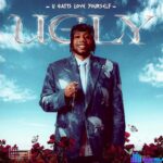 DanDizzy – Work ft. Kaey featured image DanDizzy – Work ft. Kaey – DanDizzy UGLY U Gatts Love Yourself Album 12