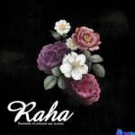 Diamond Platnumz – Raha ft. Zuchu featured image Diamond Platnumz – Raha ft. Zuchu – Diamond Platnumz Raha ft Zuchu2