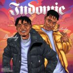 Ibradosky – Indomie ft. Zinoleesky featured image Ibradosky – Indomie ft. Zinoleesky – Ibradosky Indomie ft Zinoleesky2