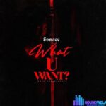 Somtee – What U Want featured image Somtee – What U Want – Somtee What U Want Soundwela