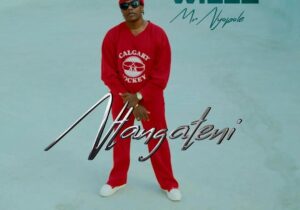 Willz Mr Nyopole – Ntangateni – Willz Mr Nyopole Ntangateni2