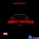 Determination – Abido Shaker featured image Determination – Abido Shaker – determination abido shaker 2