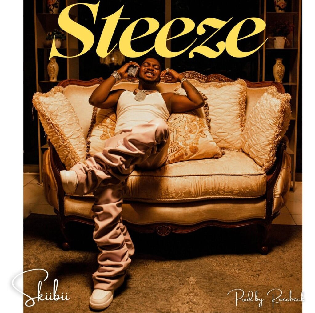 Skiibii – Steeze featured image Skiibii – Steeze – Skiibii – Steeze2