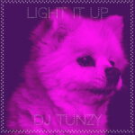 DJ Tunzy – Light It Up featured image DJ Tunzy – Light It Up – DJ Tunzy Light It Up Soundwela