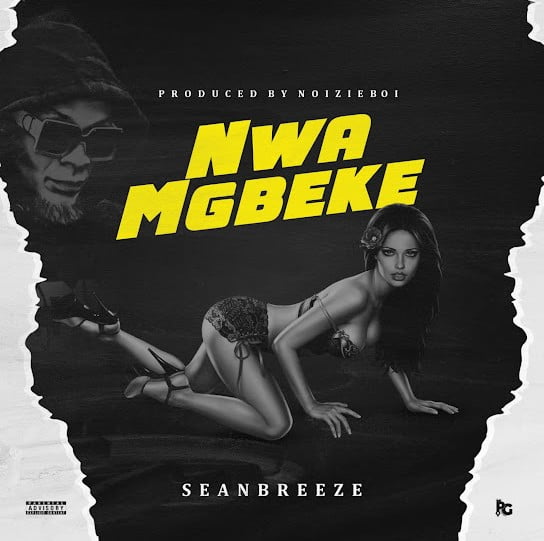 Seanbreeze – Nwamgbeke featured image Seanbreeze – Nwamgbeke – Sean Breeze Nwamgbeke Soundwela