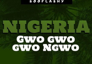 Sooflashy – Nigeria Gwo Gwo Gwo Ngwo featured image Sooflashy – Nigeria Gwo Gwo Gwo Ngwo – Sooflashy Nigeria Gwo gwo gwo Ngwo Soundwela