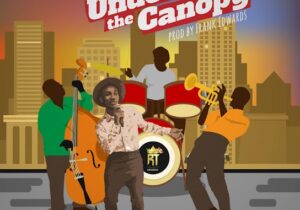 Frank Edwards – Under The Canopy featured image Frank Edwards – Under The Canopy – Frank Edwards Under The Canopy