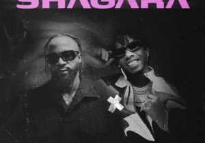 Iyanya – Shagara Ft. Tekno – Iyanya Shagara ft Tekno