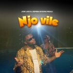 Joe Like – Njo Vile ft. Demba Nyama Mkali featured image Joe Like – Njo Vile ft. Demba Nyama Mkali – Joe Like Njo Vile