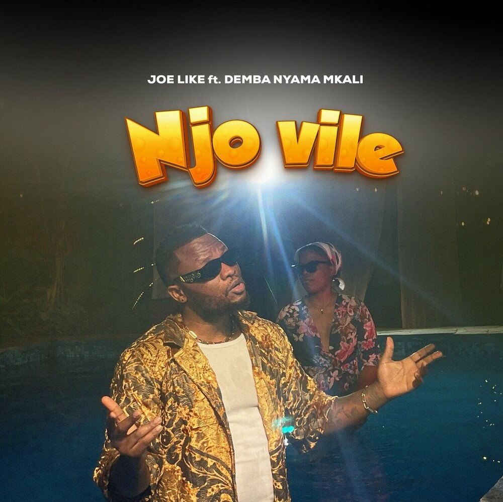Joe Like – Njo Vile ft. Demba Nyama Mkali featured image Joe Like – Njo Vile ft. Demba Nyama Mkali – Joe Like Njo Vile