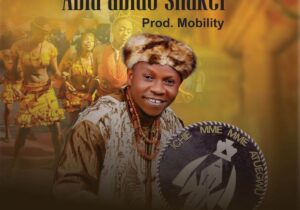 Ichie Mmemme - Abia Abido Shaker featured image Ichie Mmemme - Abia Abido Shaker – Ichie Mmemme Abia Abido shaker